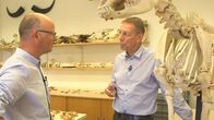 SMS - Schwanke meets Science – Der Archäozoologe Norbert Benecke (rechts) führt Karsten Schwanke durch die Tierknochenreferenzsammlung des Deutschen Archäologischen Instituts in Berlin.