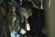 Navy CIS – Ellie Bishop (Emily Wickersham)