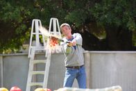 The Middle – Die Entdeckung eines neuen Ladens, mit seltsam geformtem Gemüse, sorgt bei Mike (Neil Flynn) für Erheiterung ...