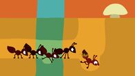 Animanimals – Die anderen Ameisen sind nicht erfreut über die Unterbrechung.