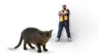 Der Katzenflüsterer – Fr, 28.08., 06:00 Uhr