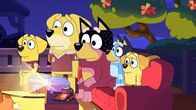 Bluey – Mo, 25.05., 06:55 Uhr