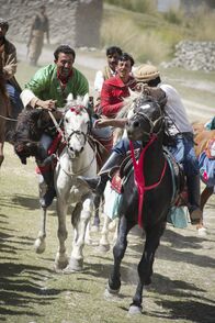 Bergwelten – Buzkashi - Tradition mit Mensch und Pferd