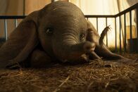 Dumbo – Eine Sensation wird geboren: Dumbo