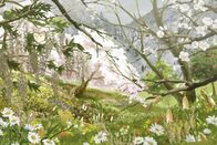 Mushi-Shi – Fr, 01.08., 23:30 Uhr