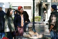 Gilmore Girls – Bei Rory (Alexis Bledel, l.), Lorelei (Lauren Graham, M.) und Luke (Scott Patterson, r.) ist immer etwas los ...