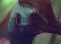 Welt der Tiere – Welt der Tiere (2006)