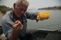 Fluss-Monster – Close up of Jeremy Wade baiting up near Luangwa, Zambezi River, Zambia.