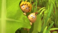 Die Biene Maja – Maja und Willi trauen ihren Bienenaugen nicht.