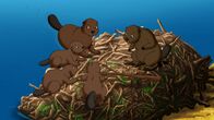 Bibi und Tina – Am Ufer des Mühlenbaches haben sich Biber niedergelassen. Bibi und Tina beobachten neugierig das Treiben der niedlichen Tiere.