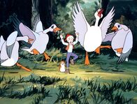 Nils Holgersson – Gorgo, der Adler, erzählt von einem wunderschönen Land, wo es Platz für alle Vögel gibt: Lappland.