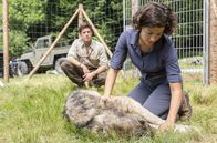 Der Ranger - Paradies Heimat – Die Biologin Emilia (Lisa Tzschirner) versorgt eine verletze Wölfin, die sie unterhalb des Affensteins im Nationalpark Sächsische Schweiz gefunden hat.