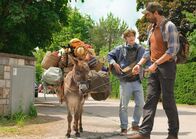 12 Tage Sommer – Die Reise geht los - von links: Maria (Esel Lore), Felix (Yoran Leicher) und Marcel (Mehdi Nebbou).