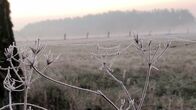 NaturNah – Auch im Winter bietet die Lüneburger Heide besondere Naturerlebnisse.
