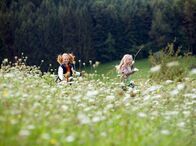 Tiere bis unters Dach – Lilie (Lotte HannĂ