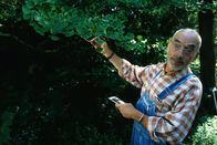 Löwenzahn Classics – Peter (Peter Lustig) entdeckt einen Ginkgo. Vielleicht ist das ja der gesuchte Baum von Onkel John!