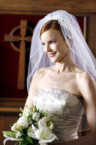 Desperate Housewives – Desperate Housewives (2006)