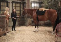 2 Broke Girls – Max (Kat Dennings, r.) und Caroline (Beth Behrs, l.) nehmen sich einer streunenden Katze an und suchen ein neues Zuhause für sie. Doch das ist leichter gesagt als getan ...
