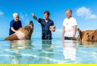 Elstners Reisen – Die angeblich glücklichsten Schweine der Welt leben auf den Bahamas – Frank Elstner, Matthias Reinschmidt und Baron von Kerckerinck besuchten sie auf ihrer Reise.