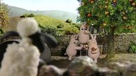 Shaun das Schaf – Der Apfelbaum steht bei den Schweinen. Werden sie die reifen, leckeren Früchte teilen?