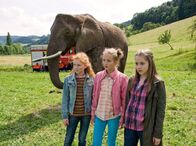 Tiere bis unters Dach – v.li.n.re.: Celine (Zora Achtnich), Emma (Nele Guderian) und Greta (Enya Elstner) stellen traurig fest, dass der Zirkus weg ist, aber sie haben ihren Elefanten einfach auf der Wiese stehen lassen.