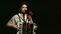 Alfred Dorfer - Ohne Netz – Alfred Dorfer.