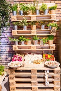 MasterChef – MasterChef (2019)