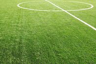 Fußball: Champions League – Football field