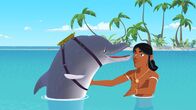 Zoom - Der weiße Delfin – Auru (r.) freut sich, dass sein Freund Igor (l.) wieder zurück ist. Doch er ist auch besorgt, weil Igor wieder einen Peilsender trägt und offenbar wieder als Militär-Delfin eingesetzt wird.