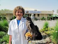 GEO Reportage – Dr. Margit Müller leitet in Abu Dhabi das größte Falkenhospital der Welt