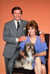 Hart aber herzlich – Jonathan (Robert Wagner, l.) und Jennifer (Stefanie Powers, r.) Hart haben ein nervenaufreibendes Hobby: Sie jagen Verbrecher.