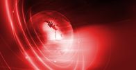 ZIB Flash – Do, 17.09., 16:05 Uhr