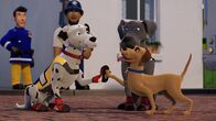 Feuerwehrmann Sam – Schnuffi, Luna und Buddler sind ein gutes Team.