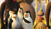 Madagascar 2 – Die Pinguine sind natürlich auch in Afrika gelandet