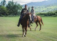 Hawaii Five-0 – Steve McGarrett (Alex O'Loughlin, l.); Joe White (Terry O'Quinn, r.)
