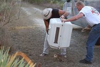 Tierpolizei Miami – Fr, 14.11., 07:00 Uhr