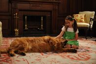 How I Met Your Mother – Blick in die Vergangenheit: Robin (Shelby Zemanek) ...