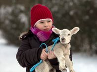 In aller Freundschaft – Lisa Schroth (Ella Zirzow) möchte das niedliche Osterlamm vor dem Kochtopf bewahren und schmiedet einen Plan. Kurz darauf ist nicht nur das Lamm sondern auch Lisa verschwunden.
