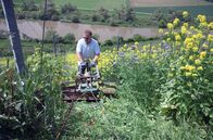 Die wunderbare Welt der Weine – Die steil aufsteigenden fränkischen Weinberge liefern mineralische, kräftige Weißweine. Familie Knoll folgt den Grundsätzen des biodynamischen Anbaus, um ihre Weinstöcke in größerer Harmonie mit der Natur zu bewirtschaften.