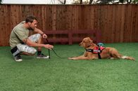 Der Hundetrainer - Lucky Dogs – Der Hundetrainer Brandon McMillan hat es sich zur Aufgabe gemacht, schwer vermittelbare Hunde aus dem Tierheim zu holen, sie zu trainieren und für jedes Tier anschließend das passende neue Zuhause zu finden ...