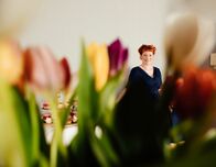 Das große Backen - Die Profis – Das große Backen - Die Profis (2020)