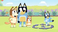 Bluey – L-R: Chilli, Bandit, Bingo und Bluey