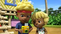 Super Wings – Sam und Angie haben eine Kamera bestellt. Sie wollen Paradiesvögel fotografieren.