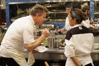 Hell's Kitchen mit Gordon Ramsay – Hell's Kitchen mit Gordon Ramsay (2019)