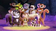 King Julien – Fr, 21.10., 06:05 Uhr