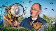 Quarks – ARD/WDR QUARKS IM ERSTEN, "Das Insekten-Paradox: unbeliebt, aber unverzichtbar" Uhr im ERSTEN. Sie summen, krabbeln, zirpen, saugen! Obwohl sie so klein und unscheinbar sind, lösen Insekten bei vielen Menschen Unbehagen aus. Dabei sind sie für unser Leben extrem wichtig: Insekten bestäuben Pflanzen, zersetzen organisches Material und bilden die Grundlage vieler Nahrungsketten. Ihr Nutzen für uns ist enorm - ohne sie sähe es düster aus für Äpfel, Schokolade und viele andere Lebensmittel. Doch das Gleichgewicht gerät aus den Fugen: Invasive Arten wie Tapinoma-Ameisen breiten sich rasant in Deutschland aus und bedrohen Infrastruktur und Ökosysteme. - Thomas Ranft moderiert die Sendung.