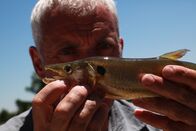Fluss-Monster – Sa, 26.03., 04:45 Uhr