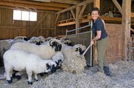 Land & lecker – Vor 19 Jahren haben die heutige Gastgeberin Gisela Elfinger und Ehemann Hans ihr Leben komplett umgekrempelt, im oberbayerischen Reichling einen alten Hof gekauft, selbst renoviert und mit der Zucht von Walliser Schwarznasenschafen begonnen.