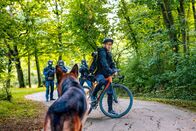 Kommissar Rex – Fahrradkurier (Mario Linder).