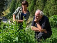 Der Geschmack Europas – Lojze Wieser und Köchin Rebecca Clopath pflücken Wildkräuter.